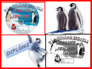 diplome pingouins
