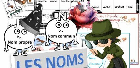 GRAMMAIRE : LE NOM – ATELIERS / MEMOS / EXERCICES