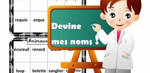 GRAMMAIRE / LEXIQUE – Les noms , le mot étiquette CP/CE1