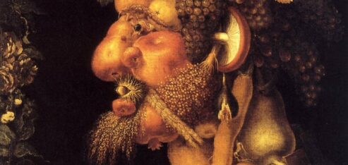 ARCIMBOLDO : Découverte et activités  CP / CE1