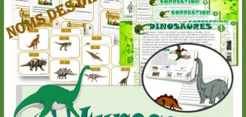 ATELIERS LECTURE dinosaures et autres activités