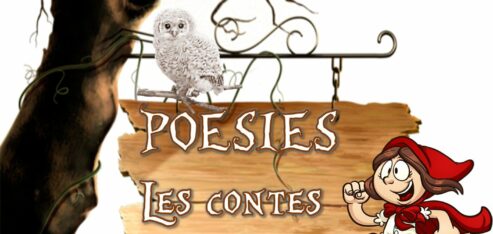 POESIES : LES CONTES ET LA FORET