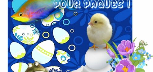 Bricolages de Pâques : animaux Z’oeufs /spring face /Easter frog