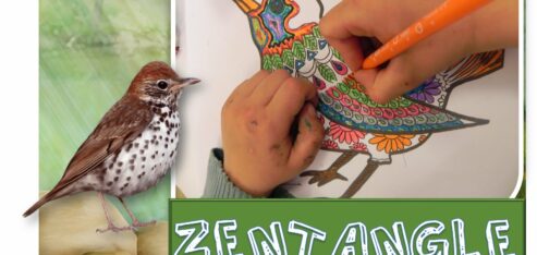 LES DESSINS de ReCreatisse