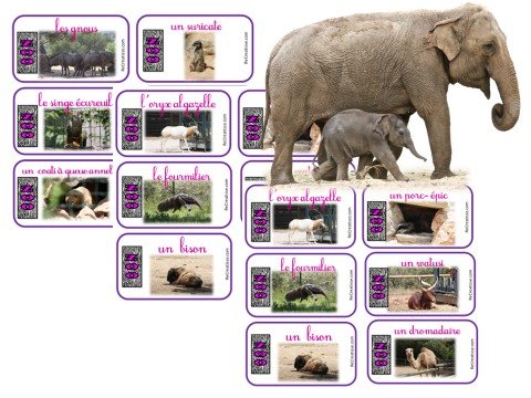 Vocabulaire Les Animaux Du Zoo Recreatisse