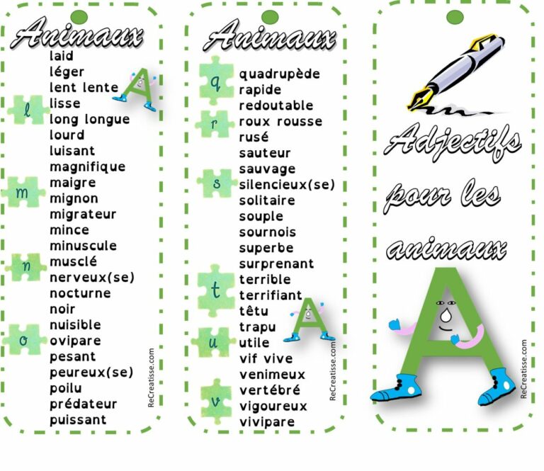 La grammaire est un jeu les adjectifs • ReCreatisse La grammaire est un jeu les adjectifs • ReCreatisse
