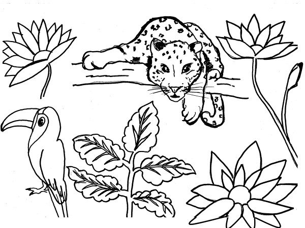 LE DOUANIER ROUSSEAU ReCreatisse