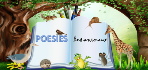 POESIES explorateurs de la biodiversité : les animaux