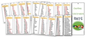 18 cartes de lecture avec des mots de 5 lettres pour les lecteurs