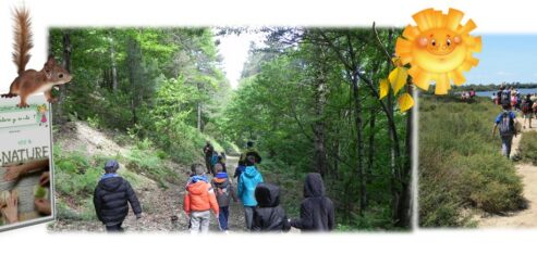 Mon cahier d’activités NATURE