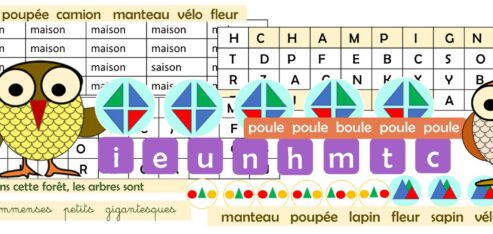 ATELIERS : L’oeil de la chouette