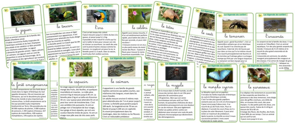 ateliers-la-l-gende-du-colibri-cycles-1-2-3-recreatisse