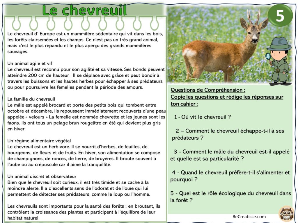 Lecture de textes documentaires • ReCreatisse
