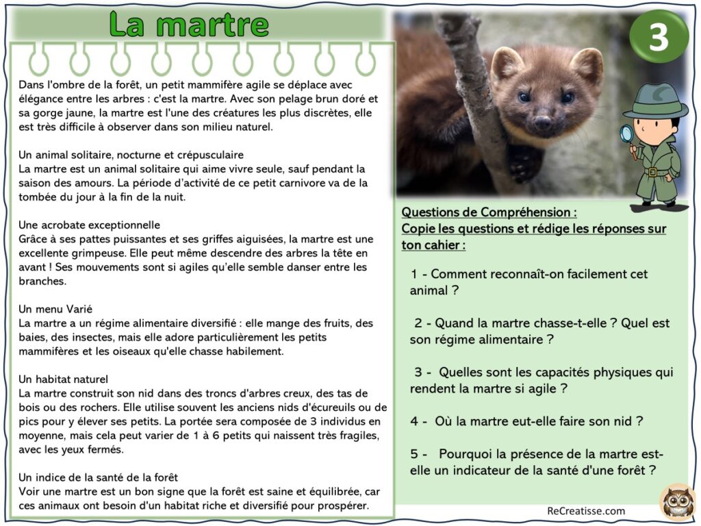 Lecture de textes documentaires • ReCreatisse