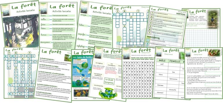 Activités lexicales autour de la nature • ReCreatisse