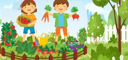 Rassemble ta famille de légumes