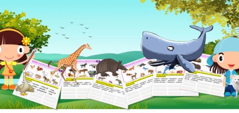 ATELIERS copies sélectives animaux